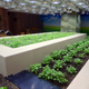 Illustration for article titled An Urban Farm In the Most Unlikely Location: A Shanghai Mall